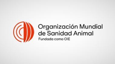 Nueva identidad corporativa de la Organización Mundial de Sanidad Animal