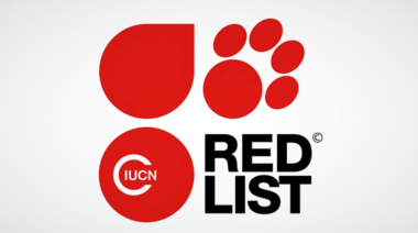 ¿Qué es, para qué sirve y cómo se utiliza la Lista Roja de Especies Amenazadas?