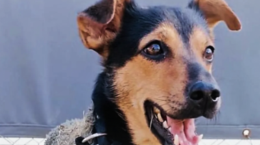 "Coco" finalizó el período de cuarentena y ya está con su familia