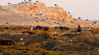 Se creó por Ley el Parque Nacional Islote Lobos