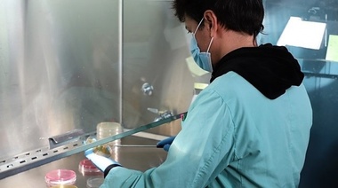 Nueva vacuna contra la Escherichia coli en bovinos