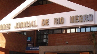 Declararon culpable a un hombre que pateó y mató a un perro