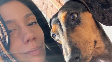 Elaboran la "Escala de Función Ejecutiva del Perro"