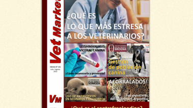 Estrés en los veterinarios - Gestión de población canina - Leishmaniasis - Antibióticos en Neonatos y Cachorros