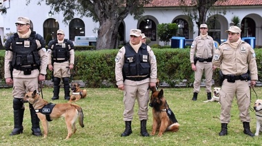 Presentaron oficialmente el Programa de Animales de Apoyo Profesional
