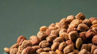 Alimentos balanceados: en 60 días podría haber faltantes por las trabas al dólar