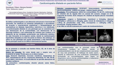 Caso Clínico: Cardiomiopatía dilatada en paciente felino