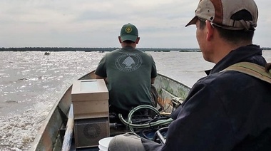 Relevaron la fauna y flora en el futuro Parque Nacional Laguna El Palmar
