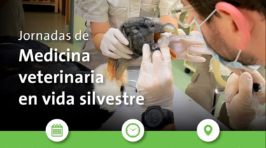 20 al 22 de Octubre - Jornadas de Medicina Veterinaria en Vida Silvestre