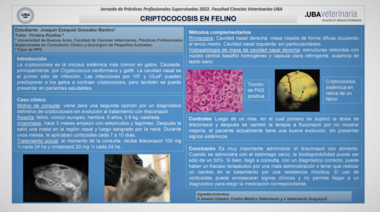 Caso clínico: Criptococosis en felino