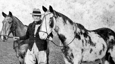 Día Nacional del Caballo: Breve reseña de la raza criollo