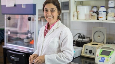 Desarrollaron la primera cepa vacunal contra la Leucosis bovina