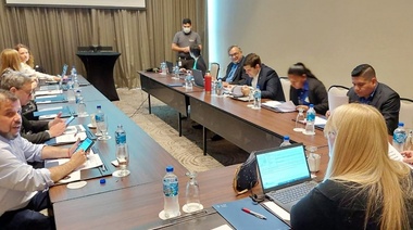 Se realizó una nueva reunión del Comité Veterinario Permanente del Cono Sur