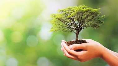 La desarticulación del ser humano con la naturaleza está poniendo en riesgo la vida sobre la Tierra