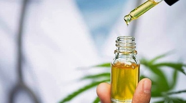 La FEVA solicitó al Senasa que se incluya a la medicina veterinaria en la Ley de Cannabis Medicinal