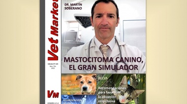 Mastocitoma canino, Recomendaciones de AECVA sobre adopción de gatos y más