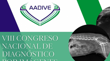 17 de Noviembre - VIII Congreso Nacional de Diagnóstico por Imágenes