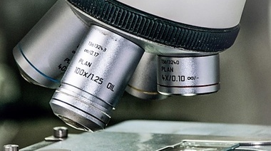 25 de Noviembre y 2 de Diciembre - Taller de Fisiología Animal