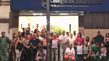"Basta de Violencia" contra los veterinarios