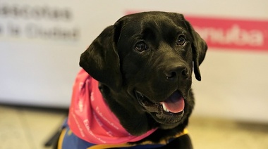 Nueva entrega de perros de asistencia y primera jubilación de dos canes