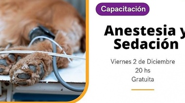 2 de Diciembre - Anestesia y Sedación