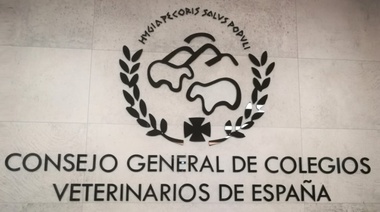 El Consejo General de Colegios Veterinarios pide a las autoridades políticas frenar la Ley de Protección Animal
