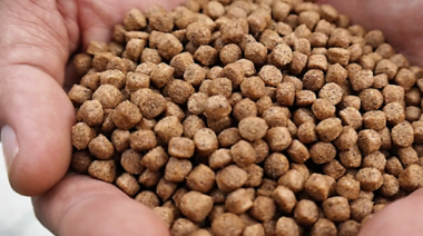 CAENA advierte sobre la preocupante situación de la industria de nutrición animal