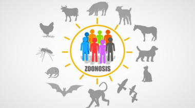 Zoonosis: una amenaza en auge