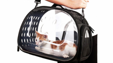 ¡Lleva a tu mascota de vacaciones con vos!