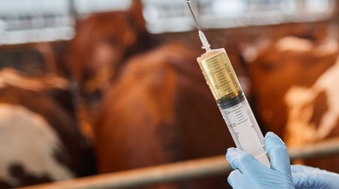 Primer Informe Anual del Observatorio