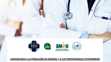 Reacción de las instituciones veterinarias uruguayas ante los escraches a los profesionales