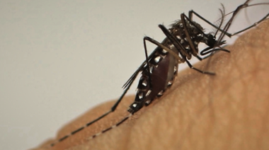 Dengue en Argentina: Los casos crecieron 20 por ciento en relación al 2020, año epidémico