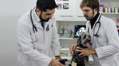 Ser "Endocrinólogo": "Una pasión que va más allá de la ciencia"