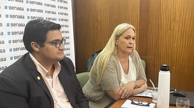 Crearán una comisión técnica para enfrentar la influenza aviar altamente patógena en la región