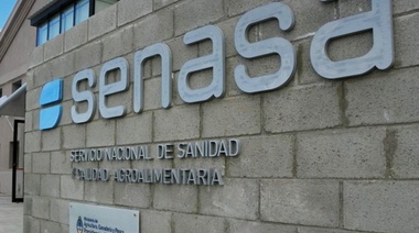 El Senasa prohibió el uso y comercialización de productos veterinarios
