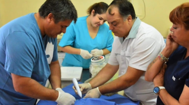 Enérgico repudio del CVPBA a raíz de la participación del intendente de Neuquén en una cirugía veterinaria