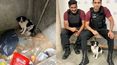 La mujer que tiró una perrita en un contenedor de basura fue imputada por maltrato animal