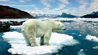 Advierten sobre la devastadora realidad que atraviesa la naturaleza