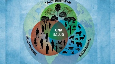 "El concepto de Una Salud debe estar presente en la educación veterinaria"