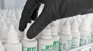 Elaboran en Salta una formulación líquida de biocontroladores del mosquito transmisor del dengue