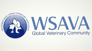 Premios WSAVA 2023: Está abierta la convocatoria para las nominaciones