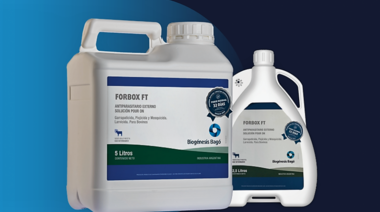 Forbox FT: Nueva solución para combatir garrapatas en bovinos