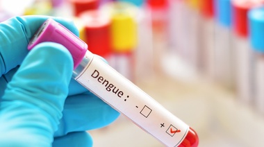 Dengue en Argentina: Hasta el momento se notificaron 56.324 casos