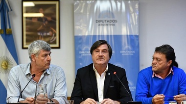 El Senasa informó en Diputados la situación de la influenza aviar a casi 100 días de su ingreso al país