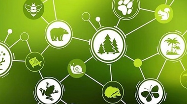 La urgente necesidad de reconstruir la biodiversidad