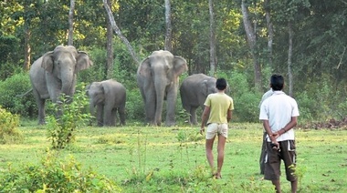 Nuevas Directrices sobre el manejo de conflicto y coexistencia entre humanos y vida silvestre