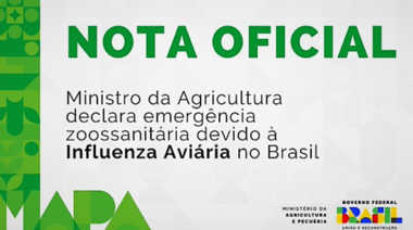 Brasil: Declaran la emergencia zoosanitaria por influenza aviar