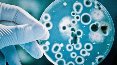 Un antiguo antibiótico natural podría ser clave contra las superbacterias