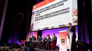 OMSA: Nuevas recomendaciones sobre el control de influenza aviar de alta patogenicidad