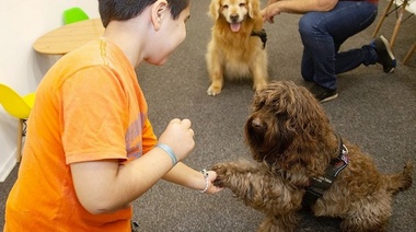El valioso aporte de los perros de terapia en la contención de niños y adolescentes que deben atravesar instancias judiciales